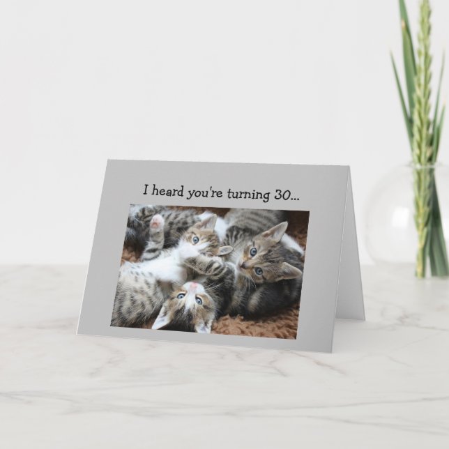 Fun 30. Geburtstag Kitten Cat Animal Spaß Karte (Vorderseite)
