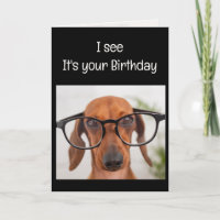 Fun Best Doggone Geburtstag Ever Hund Tier Spaß