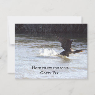 Fun Bird Postcard Postkarte