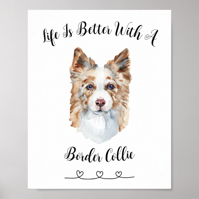 Fun Border Collie Aquarelle Mur Art Poster (Devant)