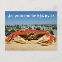 Fun Crabby Day in Los Angeles Postcard!