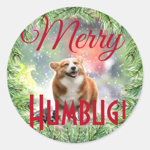 Fun Dog Foto Weihnachtsfeier Merry Humbug Runder Aufkleber