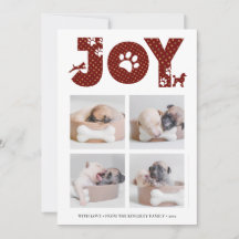 Fun Dog Paw Script JOY Modern