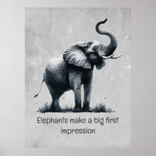 Fun Elephant Big First Impression Citation Animal