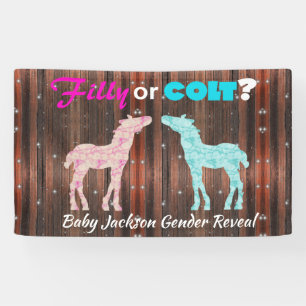 Fun "Filly or Colt" Genderbericht Banner