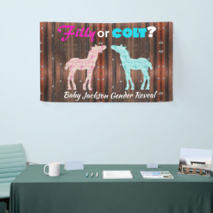 Fun "Filly or Colt" Genderbericht Banner