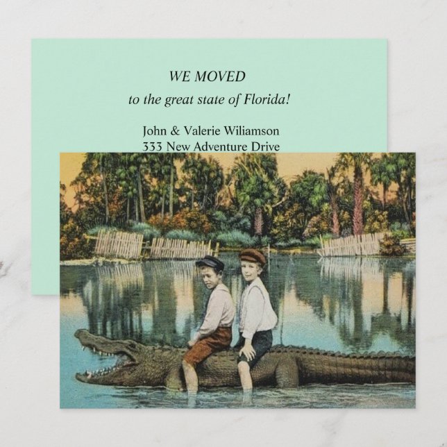 Fun Florida Alligator Ankündigung (Vorne/Hinten)