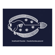 Fun Flounder Fisch in Weiß am tiefsten Blau