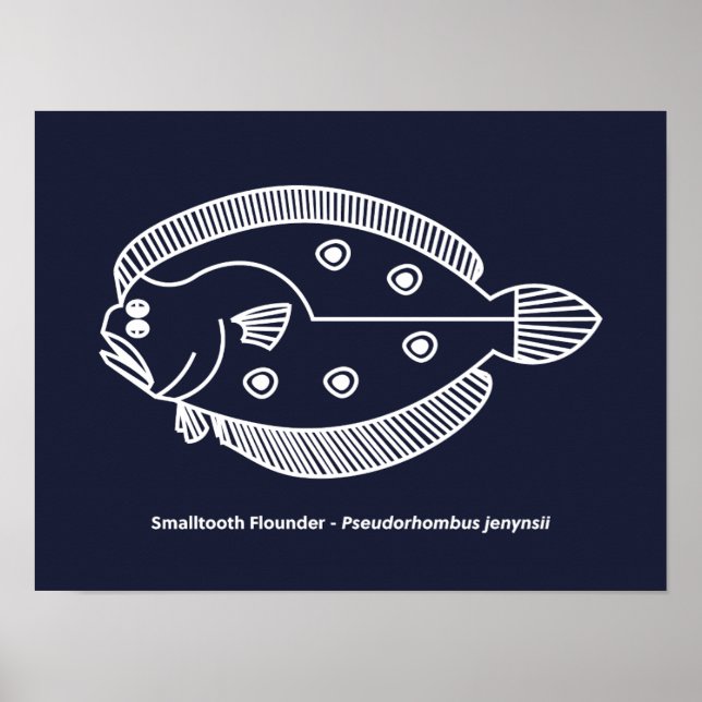 Fun Flounder Fisch in Weiß am tiefsten Blau Poster (Vorne)