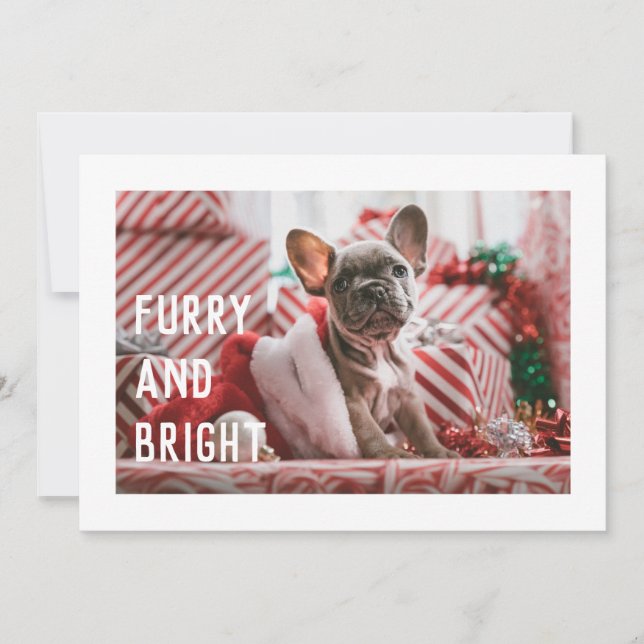 Fun Furry et brillant moderne Pet Pun Carte de vac (Devant)