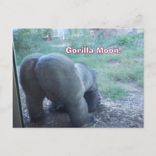 Fun Gorilla Moon Postcard Postkarte (Vorderseite)