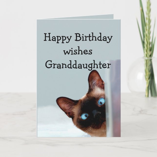 Fun Grandtochter Birthday wünscht Siamese Cat Karte (Vorderseite)