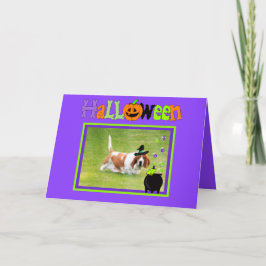 Fun Halloween Card W/Basset Hound, Frosch & Spinne Karte