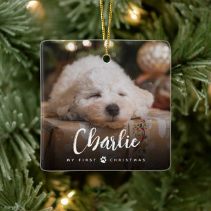 Fun Handgeschriebener Typ Pet's First Christmas Fo Keramikornament