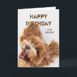 Fun Happy Birthday Grandson Niedlich Dog Welpe Feiertagskarte<br><div class="desc">Celtic Segnungen Weihnachten für jedermann für Sie zu senden an Ihre Lieblings-Freunde,  Familie oder andere Fun Happy Geburtstag Grandson Niedlich Dog Welpe</div>