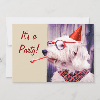 Fun Happy Niedlich Dog feiert Party Hat Brille Einladung