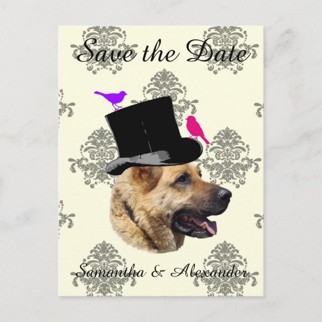 Fun Hochzeitsgroom Save the Date Ankündigungspostkarte (Vorderseite)