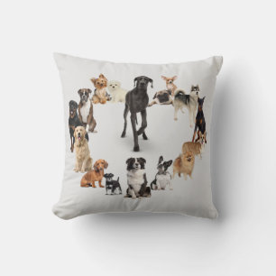 Fun Hund Rasse Haustiere Hund Kissen