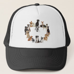 Fun Hund Rasse Haustiere Hund Truckerkappe