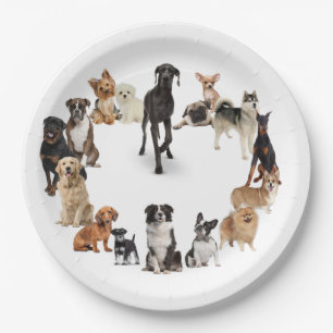 Fun Hund Rasse Haustiere Hunde Individuelle Name Pappteller