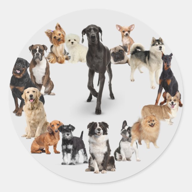 Fun Hund Rasse Haustiere Hunde Wanderung Postkarte Runder Aufkleber (Vorderseite)