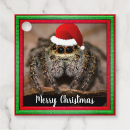 Fun Jumping Spider in der Weihnachtsmannmütze Weih Geschenkanhänger