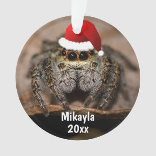 Fun Jumping Spider in der Weihnachtsmannmütze Weih Ornament
