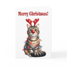 Fun Kitten Funny Cat Weihnachten