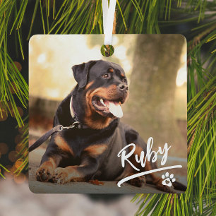 Fun Letting Pet Foto Weihnachten Ornament Aus Metall