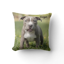 Fun-living Pit Bull Personalisiert