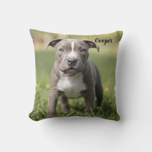 Fun-living Pit Bull Personalisiert Kissen
