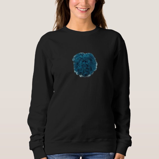 Fun Loofah Apparel Teal Loofa Sweatshirt (Vorderseite)