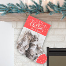 Fun meowowy Weihnachtskatzenname Rot & Weiß Foto