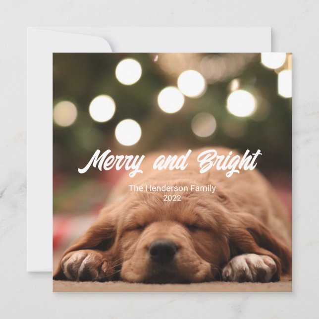 Fun Merry and Bright Foto Weihnachtskarte Einladung (Vorderseite)