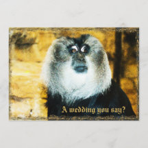 Fun Monkey Foto Zoo Hochzeit Einladungen