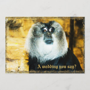 Fun Monkey Foto Zoo Hochzeit Einladungen