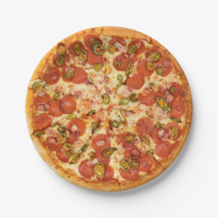 Fun Novelty Cool Cheese Pizza Grill Party Food Pappteller