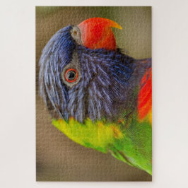 Fun Parrot farbenfroh Schwierigkeit 1.000 Stücke
