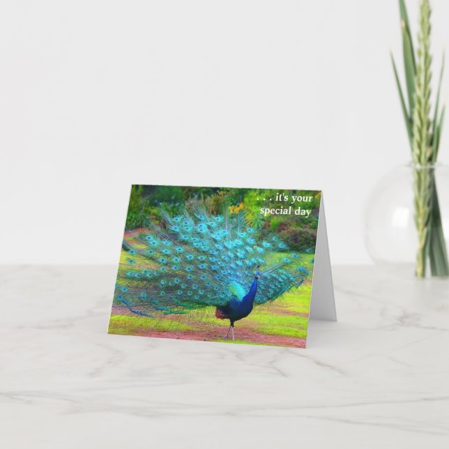 Fun Peacock Birthday Card Karte (Vorderseite)
