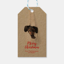Fun Pet Family Welpe Hund Weihnachten Foto