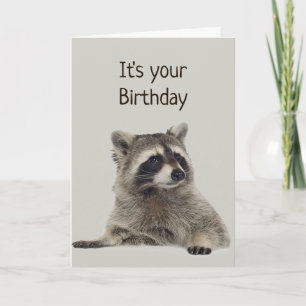 Fun Raccoon hat kein Geld für Geschenke Karte