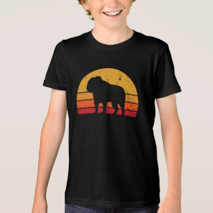 Fun Retro Vintag Sunset Bulldog Tri-Blend Shirt