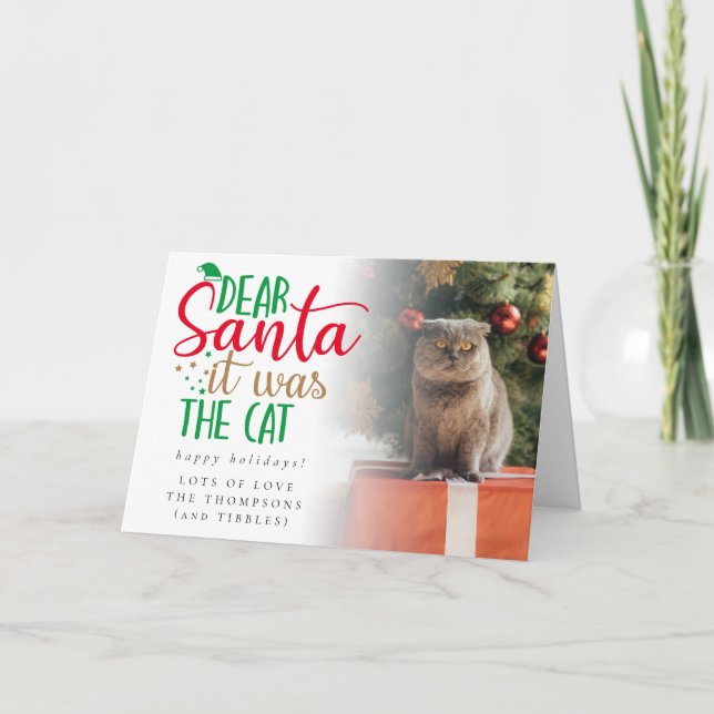 Fun Santa war die Cat Foto Ferienkarte Karte (Vorderseite)