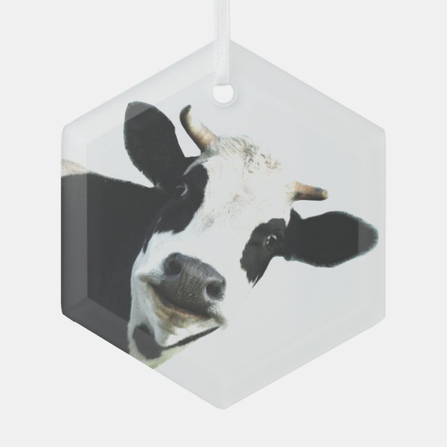 Fun Schwarz-weiße Kuhfarm Tierischer Spaß Ornament Aus Glas (Vorderseite)