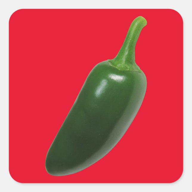 Fun & Spicy Jalapeno Pepper Quadratischer Aufkleber (Vorderseite)