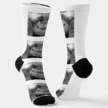 Fun Teeth Radiograph Socks