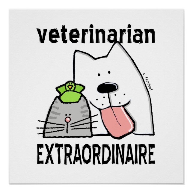 Fun Veterinarian Extraordinaire Poster (Vorderseite)