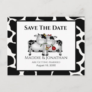 Fun Wedding Cows Save the Date Postkarte