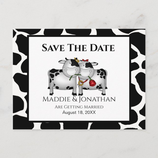 Fun Wedding Cows Save the Date Postkarte (Vorderseite)