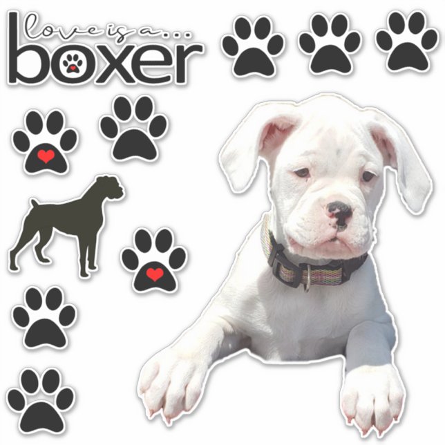 Fun White Boxer Dog Car Stickers Aufkleber (Vorderseite)